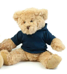 Teddy Mascot - Tailored For You