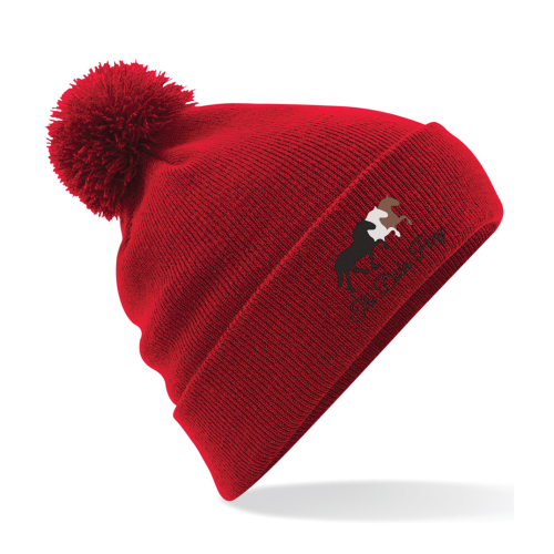 Dales Pony Society Beanie Red